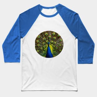 Colorful peacock Baseball T-Shirt
